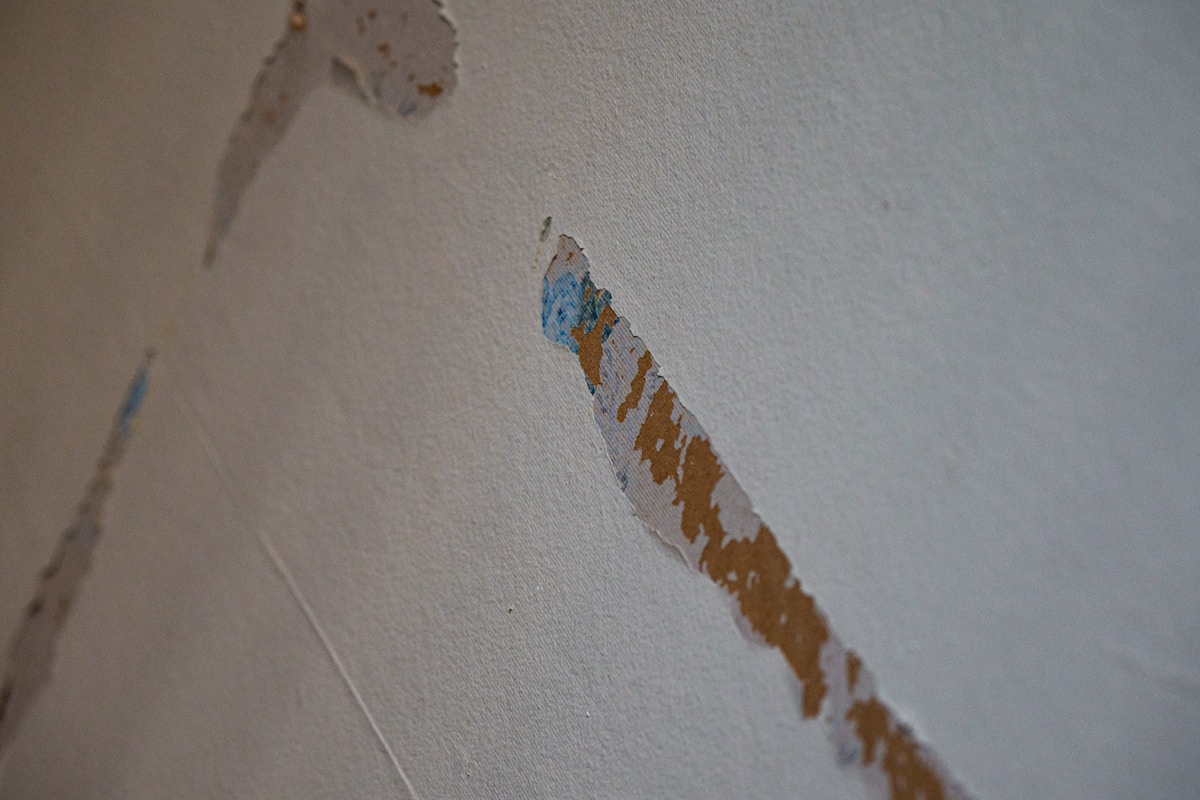 Flood Cleanup service in Stockton, CA